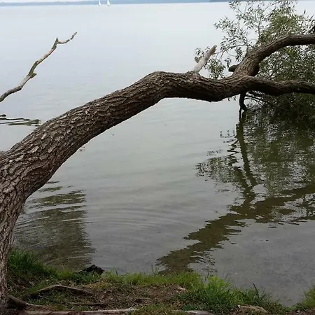 Ferienwohnung Lindenstrasse 8l Appartamento *